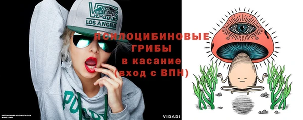 spice Нягань