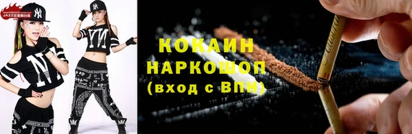 МДПВ Няндома